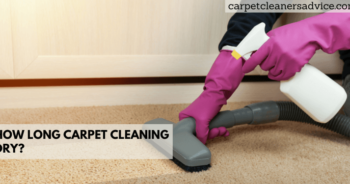 How long carpet cleaning dry?