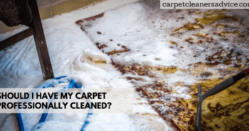 Should i have my carpet professionally cleaned?