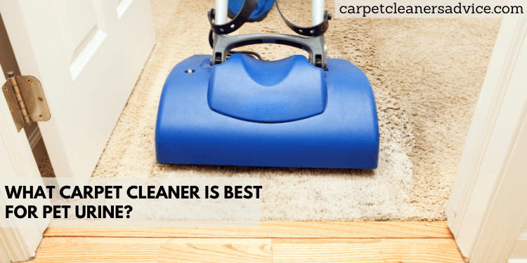 What carpet cleaner is best for pet urine?