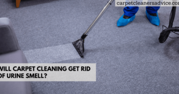 Will carpet cleaning get rid of urine smell?